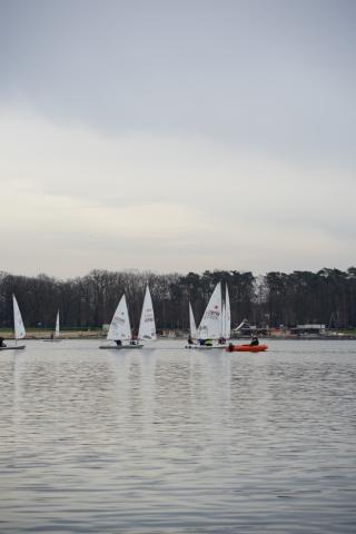 ILCA 2024-16.jpg