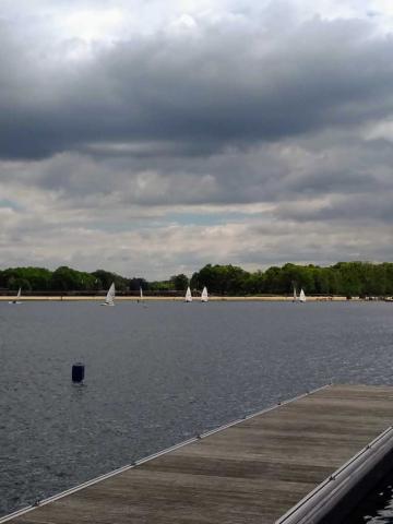 laser2019-07.jpg