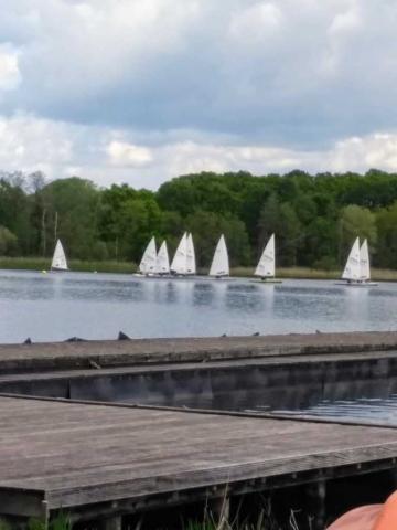 laser2019-11.jpg