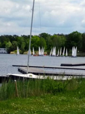laser2019-15.jpg